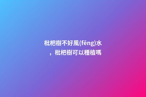 枇杷樹不好風(fēng)水，枇杷樹可以種植嗎